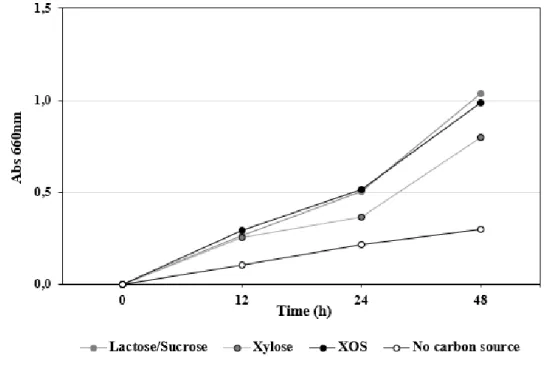 Figure 4. Growth of E. coli in media containing lactose/saccharose, xylose and XOS as carbon source