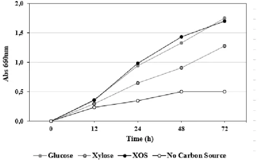 Figure 2. Growth of L. fermentum in media containing glucose, xylose and XOS as carbon source