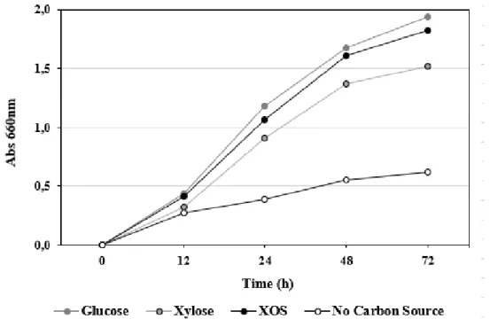 Figure 3. Growth of L. plantarum in media containing glucose, xylose and XOS as carbon source