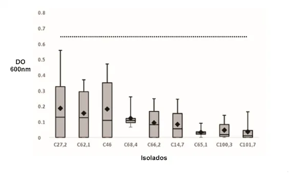 Figura 2. Capacidade de formação de biofilme de isolados de Salmonella em linguiça frescal em cultivo a 25 °C