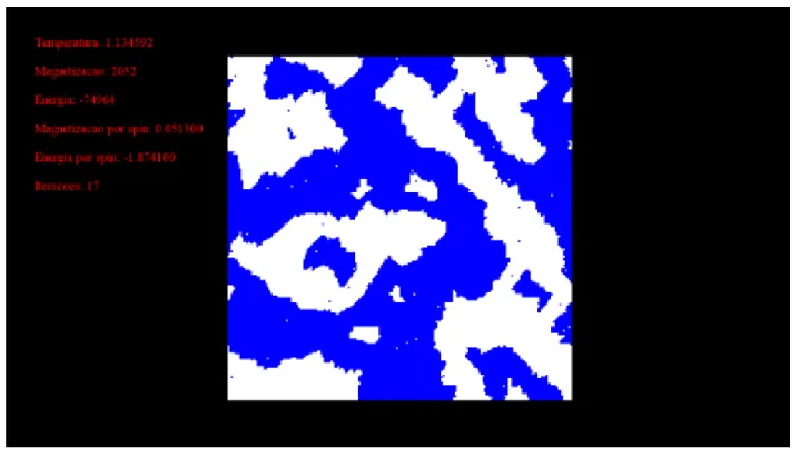 Foto da tela 2- Simulação com temperatura 1,134592 e condição inicial aleatória. Temperatura abaixo da temperatura  crítica