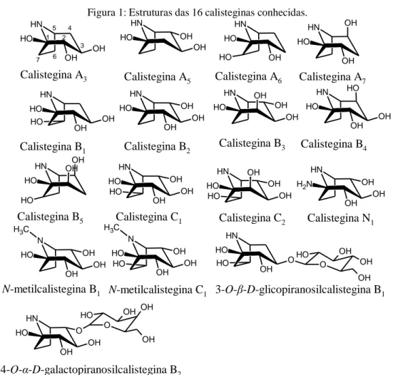 Figura 1: Estruturas das 16 calisteginas conhecidas.