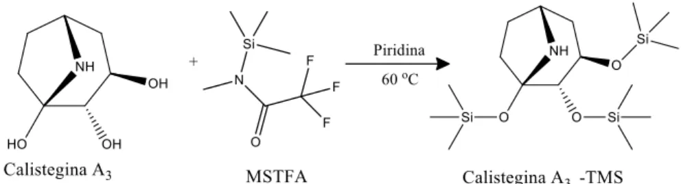Figura 2: Equação para a reação de derivatização da calistegina A 3  com MSTFA 