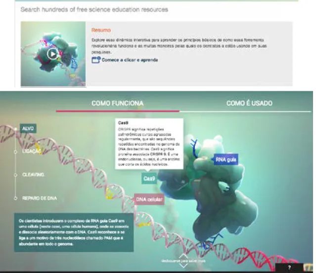 Figura 4. Exemplo de Mídia intercativa Clique e Aprenda da BioInterative que possibilita   a interagir sem modificar o experimento