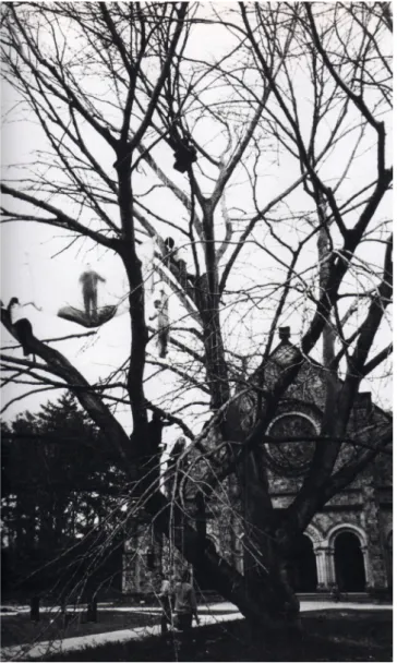 Foto 3. Gordon Matta-Clark, Tree Dance, 1971. Origen Museo Nacional  Centro de Arte Reina Sofía