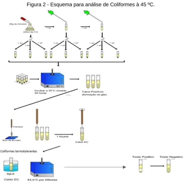 Figura 2 - Esquema para análise de Coliformes à 45 ºC. 