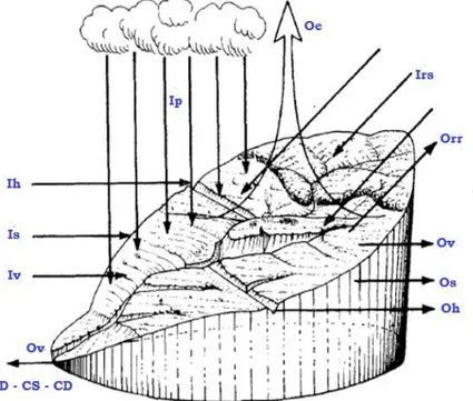 Figura 3: Troca de Matéria e Energia entre uma bacia de hidrográfica e seu ambiente externo