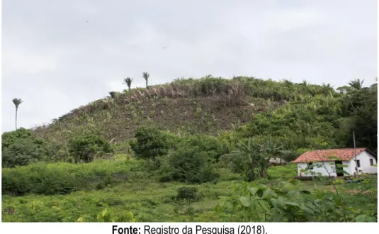 Figura 1: Estágio sucessão da Vegetação posterior à exaustão do solo para a prática da agricultura,  nos moldes da “roça no toco” no município de Alcântara (MA)