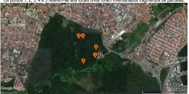 Figura 1 – Imagem de satélite da área de pesquisa na matriz urbana da cidade de João Pessoa/PB