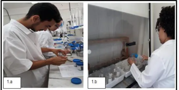Figura 01: 1.a: Preparação das amostras para a Muffla Jung; 1.b: Adição de HCl diluído em 10% nas  amostras