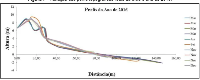 Figura 7 - Variação dos perfis topográficos reais durante o ano de 2016. 