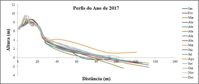 Figura 8 - Variação dos perfis topográficos reais durante o ano de 2017. 