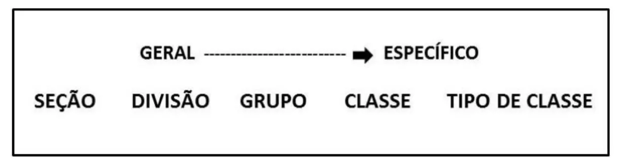 Figura 01 – Estrutura hierárquica da classificação CICES. 