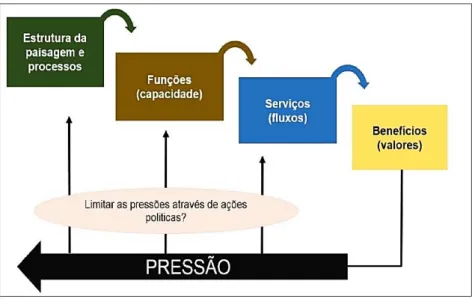 Figura 02 – Modelo de cascata proposto para avaliação do Serviços Ecossistêmicos. 