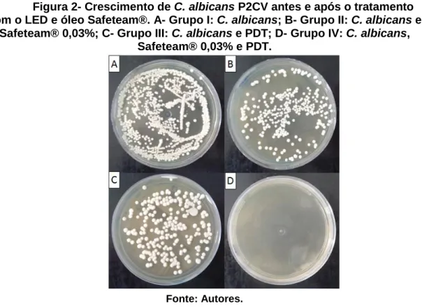 Figura 2- Crescimento de C. albicans P2CV antes e após o tratamento  com o LED e óleo Safeteam®