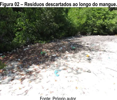 Figura 02 – Resíduos descartados ao longo do mangue. 