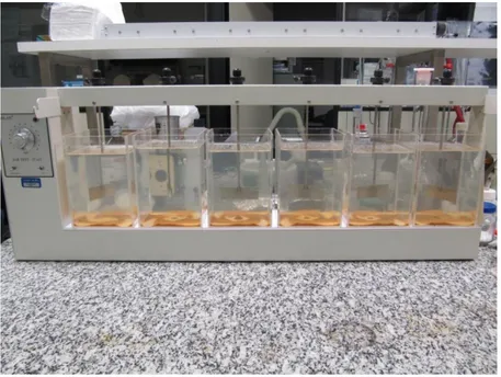 Figura 6. Equipamento Jar Test, constituído por seis jarros, cada um contendo  2,0 L de efluente tratado com 5,0 mL cloreto férrico e diferentes dosagens de 