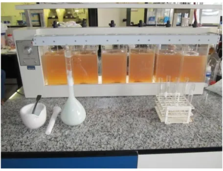 Figura 2. Equipamento Jar Test, constituído por seis jarros, cada um contendo  2,0 L de efluente