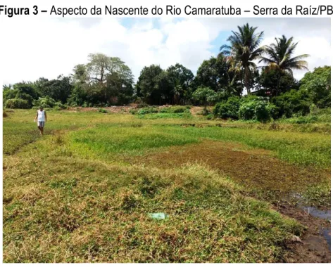 Figura 3 – Aspecto da Nascente do Rio Camaratuba – Serra da Raíz/PB.  