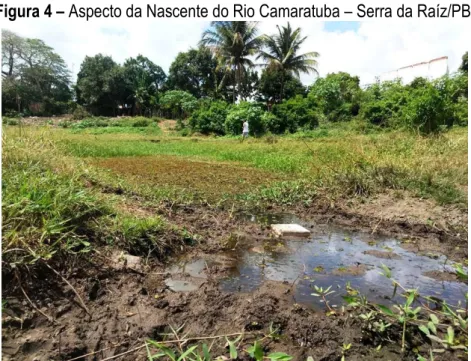 Figura 4 – Aspecto da Nascente do Rio Camaratuba – Serra da Raíz/PB.  