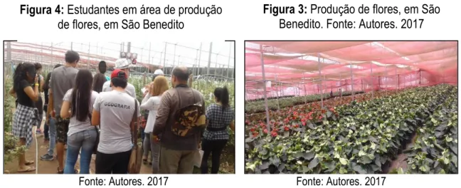 Figura 3: Produção de flores, em São  Benedito. Fonte: Autores. 2017 Figura 4: Estudantes em área de produção 