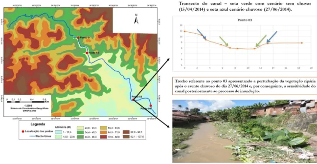 Figura 6: Mapa do MDE, gráfico do trecho do canal e imagem da perturbação da vegetação ripária do riacho  Umas ou canal da Braspérola após o evento de inundação