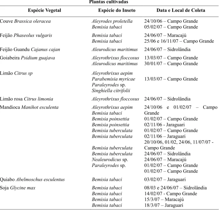 Tabela  1.  Espécies  de  moscas-brancas  (Aleyrodidae),  por  planta  cultivada  hospedeira,  nome  comum  e  científico, local e data de Coleta, em alguns municípios do Mato Grosso do Sul, 2006/2007