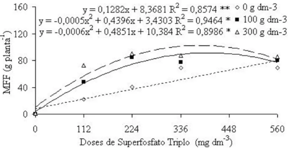 Figura 5. Matéria Fresca das Folhas (MFF) da alface em função de doses de ninhos de cupim (0, 100 e 300 g dm -3 ) e de superfosfato triplo (0, 112, 224, 336, 448 e 560 mg dm -3 )
