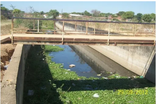 Figura 4: Depósitos de detritos canalizados que seguem para a lagoa 