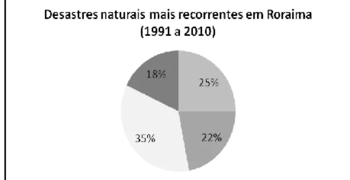 Gráfico 2 – Porcentagem dos desastres mais recorrentes no Amazonas no período de 1991 a 2010