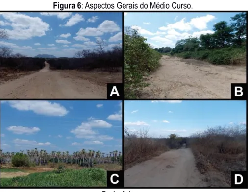 Figura 6: Aspectos Gerais do Médio Curso. 