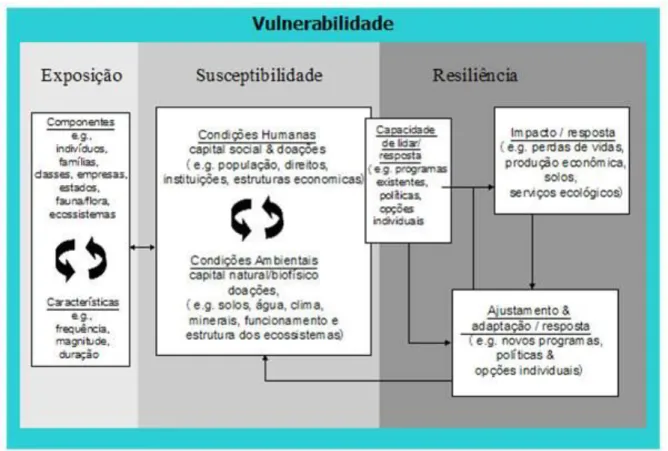 Figura 2 - Modelo estrutural da vulnerabilidade e detalhe para seus elementos constituintes               Fonte: adaptado de Turner et al