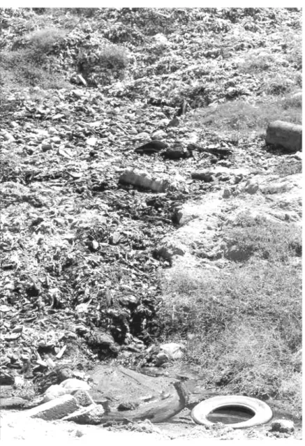 Foto 4 - “Lixão” do Jangurussu em 1998. 