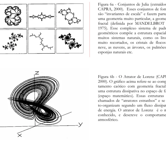 Figura 6a - Conjuntos de Julia (extraídos de  CAPRA, 2000).  Esses conjuntos de formas  são “invariantes de escala” e fazem parte de  uma geometria muito particular, a geometria  fractal (definida por MANDELBROT em  1975)