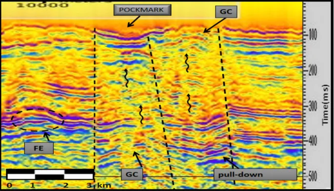 Figure 6 – Seismic section with special processing showing gas chimneys (GC) and pockmark on the surface