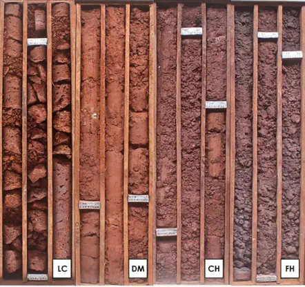 Figure 9 – Example of lithotypes recovered in drill cores. LC: lateritic crust, DM: decomposed mafic, CH: