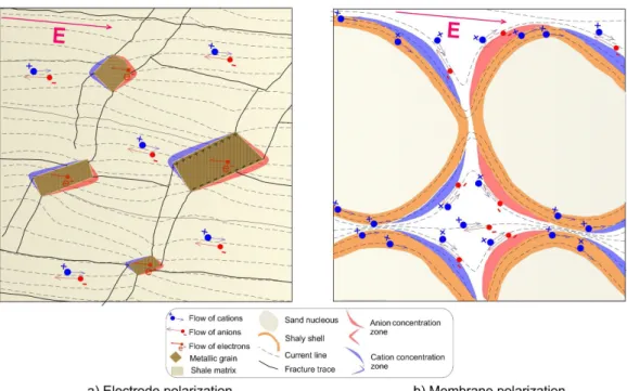 Figure 1 – Schematic representation of the main microstructural and textural elements responsible for the generation of IP effects in rocks.