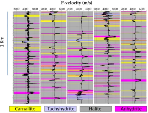Figure 4 – Identified stratifications inside the evaporitic section, considering a small piece of wells (5) from the 182 previously mentioned