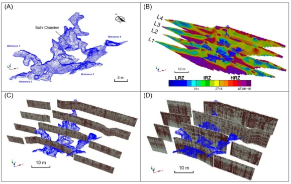 Figure 5 – 3D images of (A) the N4E-0026 cave; (B) electrical resistivity; (C) 250 MHz GPR; and (D) 80 MHz GPR sections, illustrating the depth penetration of each method; cave contour in blue.