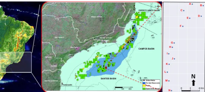 Figure 1 – Location of study area (regional) and details of available data. Blue polygon delineates the area of the hydrocarbon occurrences identified in the pre-salt province for both Santos and Campos Basins, totaling an area of approximately 350,000 km²
