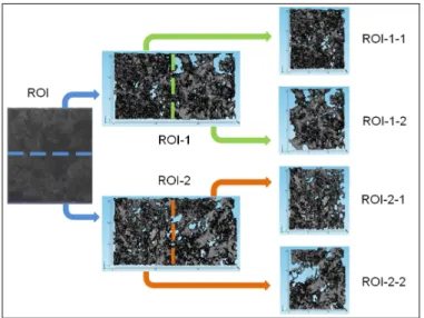 Figure 4 – Subsampling scheme of the ROI of the basal layer of the stromatolite sample.