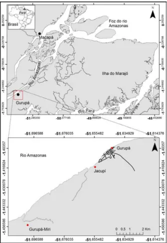 Figure 1 – Location of GPR data surveys in the Gurupá and adjacent regions.