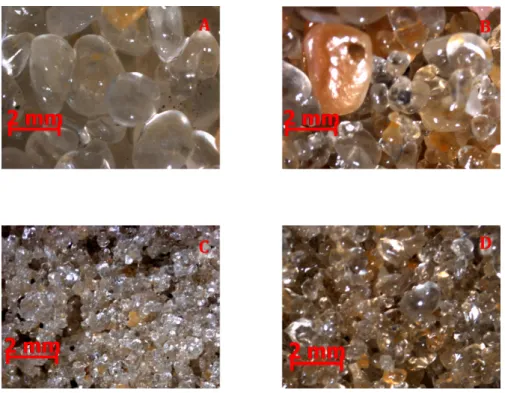 Figure 2 – Photos of the studied samples showing the roundness an grain size of the sediments (A – Itaipuaçu beach; B – Itacoatiara beach; C – Charitas beach; D – Itaipu beach).
