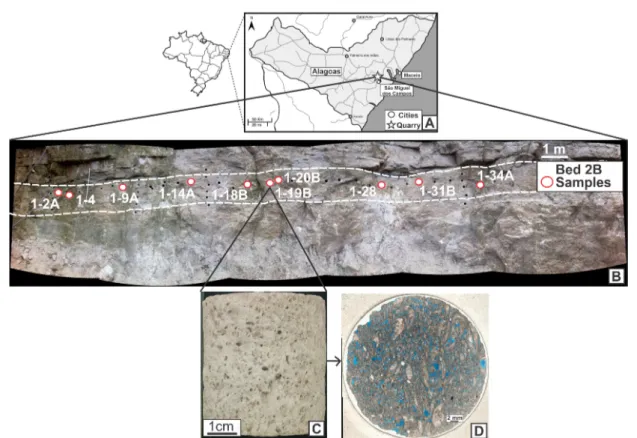 Figure 1 – (A) Location of the quarry in Morro do Chaves Formation, Sergipe-Alagoas Basin, Brazil; (B) Bed 2B layer where coquina samples where laterally plugged;