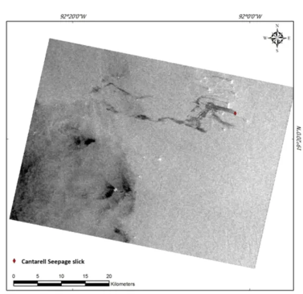 Figure 4 – RADARSAT-2 image with VV type polarization in ID#02, FQ2W, acquired on September 20, 2009, at 12:11:39 GMT (Source: LabSAR, 2016).