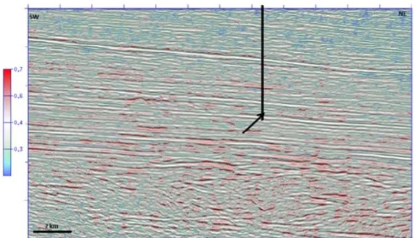Figure 13 – Section SA232 with the attribute skewness (transparency of 50 percent) on the seismic amplitude