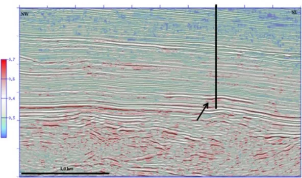 Figure 8 – Section VB-24 with the attribute skewness (transparency of 50 percent) on the seismic amplitude