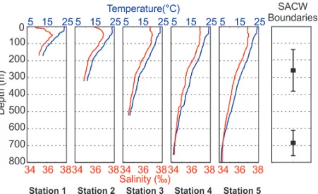 Figure 4 – Temperature and salinity profiles at oceanographic stations obtained from World Ocean Database for the summer of 1993 at Santa Catarina shelf break.