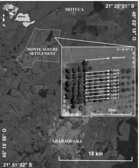 Figure 1 – Location of Monte Alegre Settlement with detail of geophysical survey.