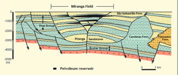 Figure 3 – Geological section from the central portion of the Recˆoncavo Basin showing the structural-stratigraphical situation of the Miranga Field